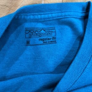 Patagonia Tee